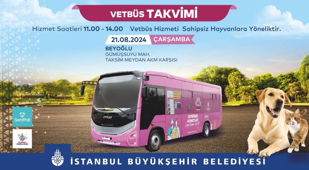 Beyoğlu Belediyesi, Patili Dostlarımız İçin VETBÜS Projesiyle Sahada!