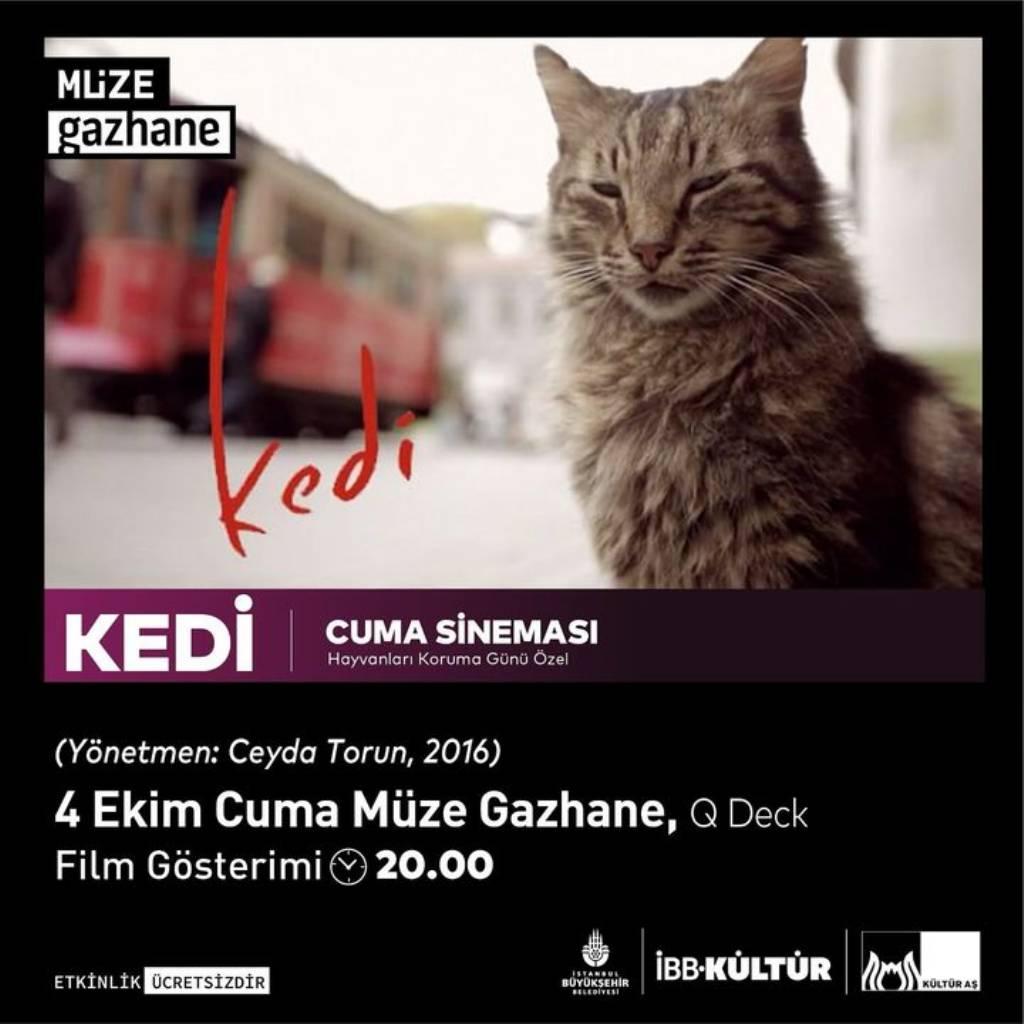 Müze Gazhane'de Cuma Sineması: Hayvanları Koruma Günü'nde 'Kedi' Filmi Gösterimi